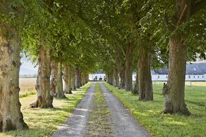 A gravel path flanked by trees leading to a building with a white facade. - Åløkke Apartment (Nyborg)
