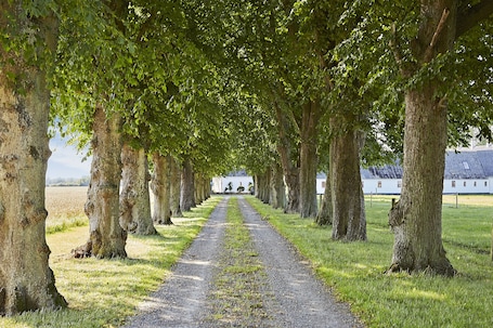 Áreas de la propiedad. Åløkke Apartment