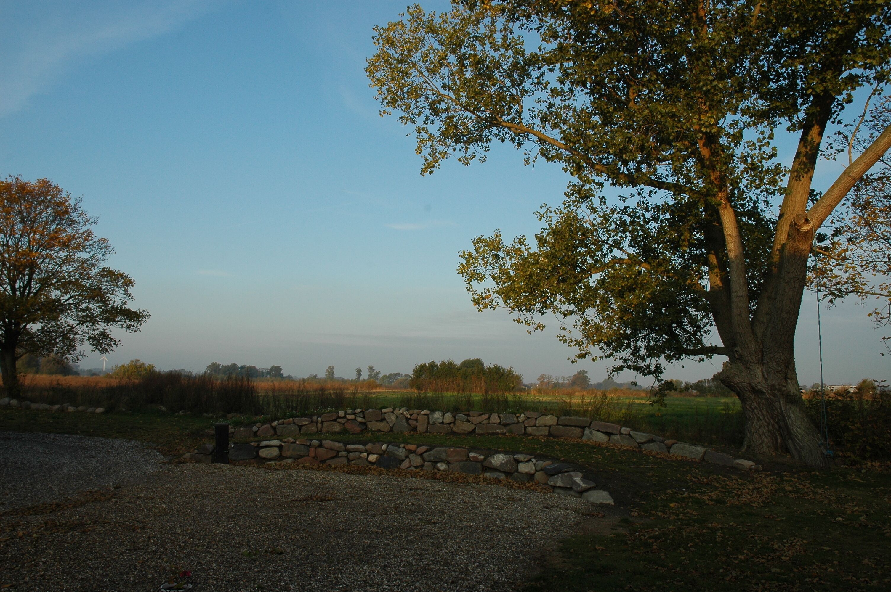 A stone pathway leading to a rustic stone wall, surrounded by trees and a clear sky.