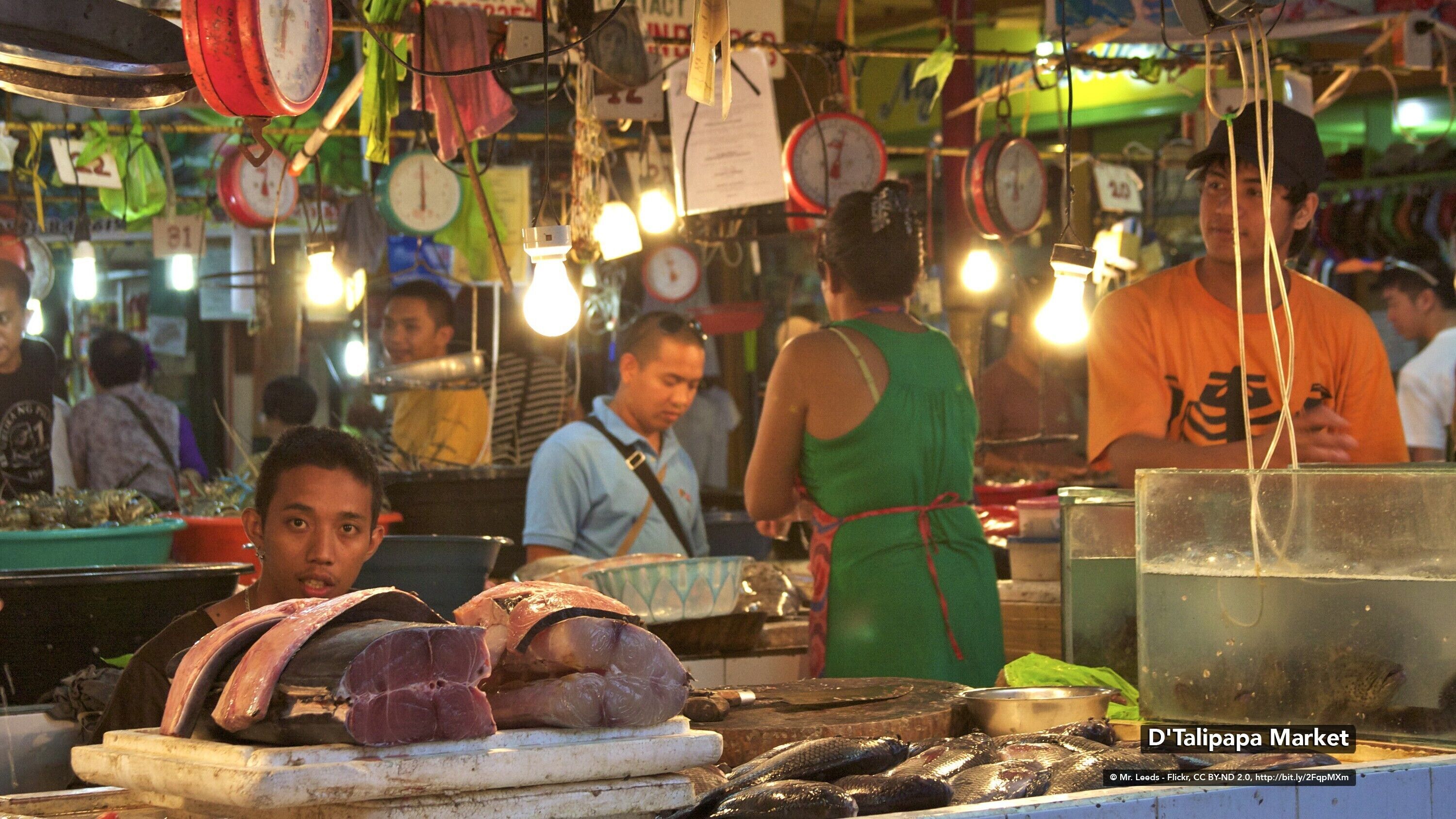 land view from property