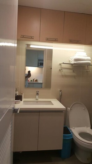 Un baño con lavamanos, espejo, inodoro y toallero.