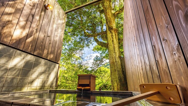 Una bañera de madera con vistas a un árbol grande y una pequeña estructura de madera al fondo.