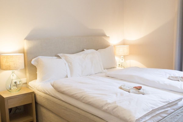 Standard Double Room | Egyptian cotton sheets, premium bedding, desk, iron/ironing board