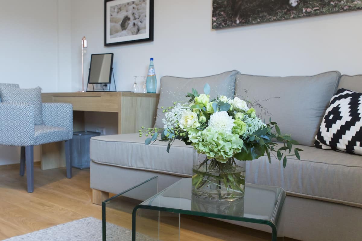 superior double room | living area | flat-screen tv