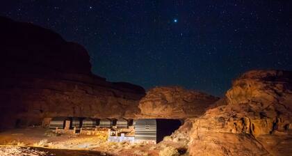 Wild Wadi Rum