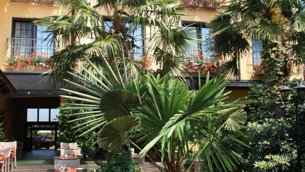 Une cour avec des espaces de détente en plein air, des palmiers et un bâtiment doté de balcons.
