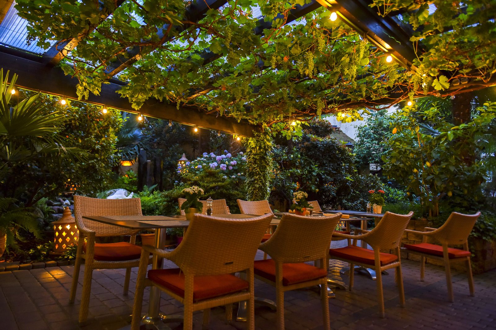 Foto - Hotel Bommersheim