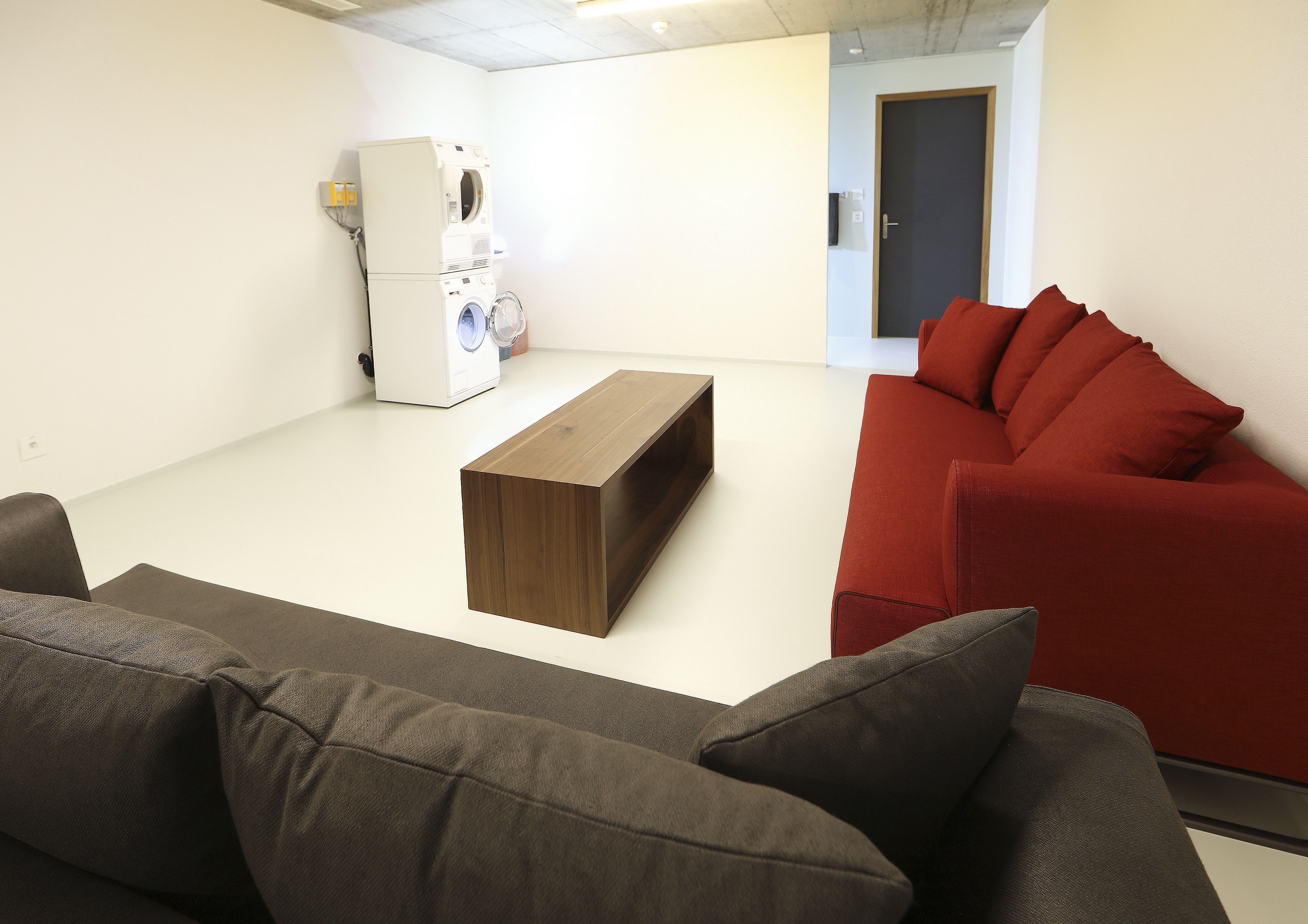 Un salon avec un canapé gris, un canapé rouge, une table basse en bois et un lave-linge.