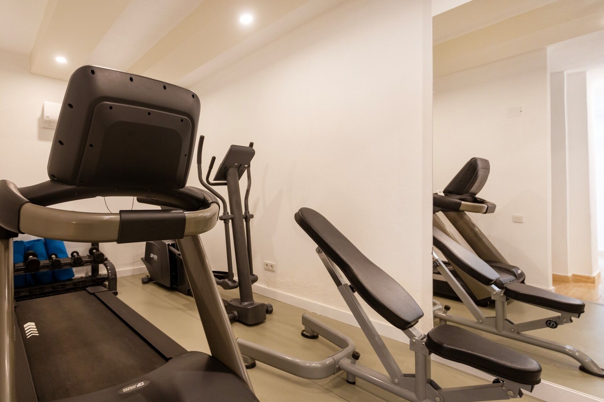 A gym with treadmills, elliptical machines, and weight benches.