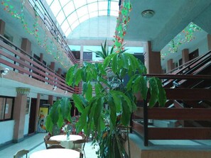 Courtyard - Golden Moon Star (Nairobi)