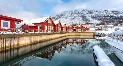 XLyngen