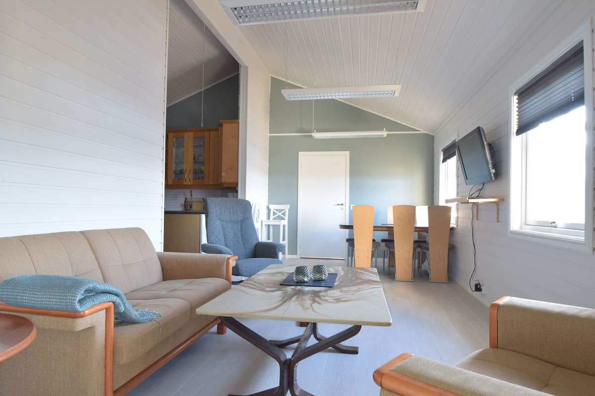Standard Apartment | Living area | 55-inch flat-screen TV with satellite channels, TV, heated floors