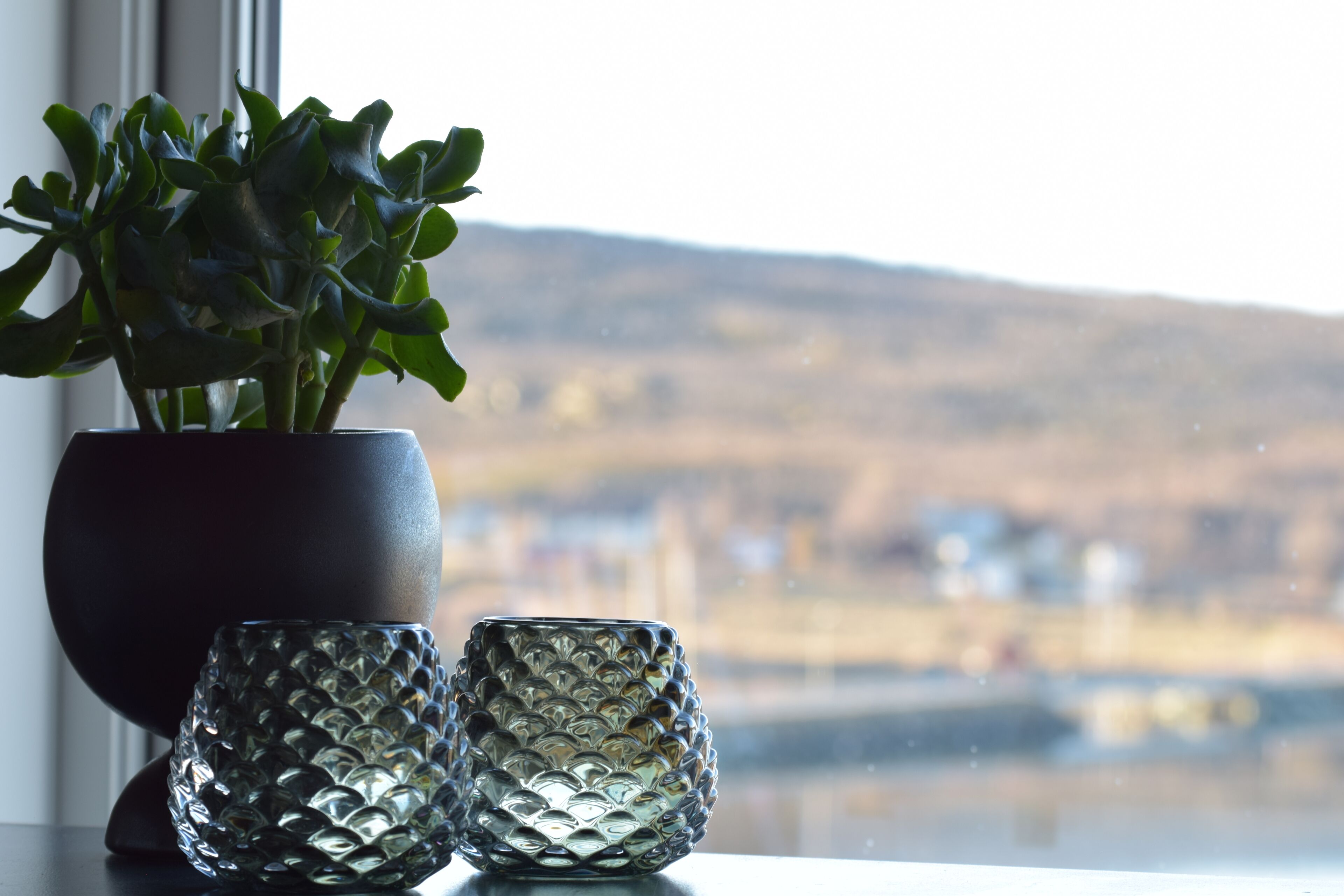 Ein Blumentopf, zwei strukturierte Glasvasen und ein Ausblick auf eine Landschaft auf einem Fensterbrett.