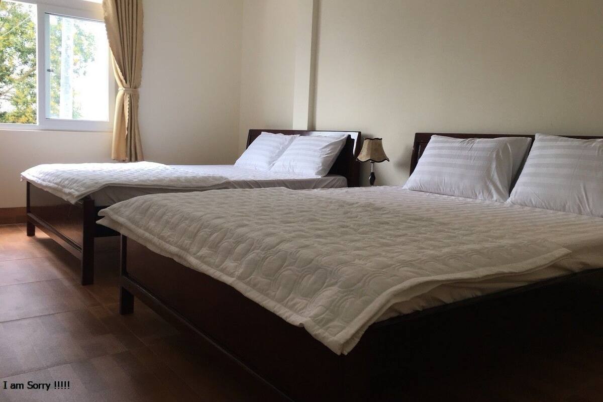Two single beds with white linens in a room with a window and a lamp.