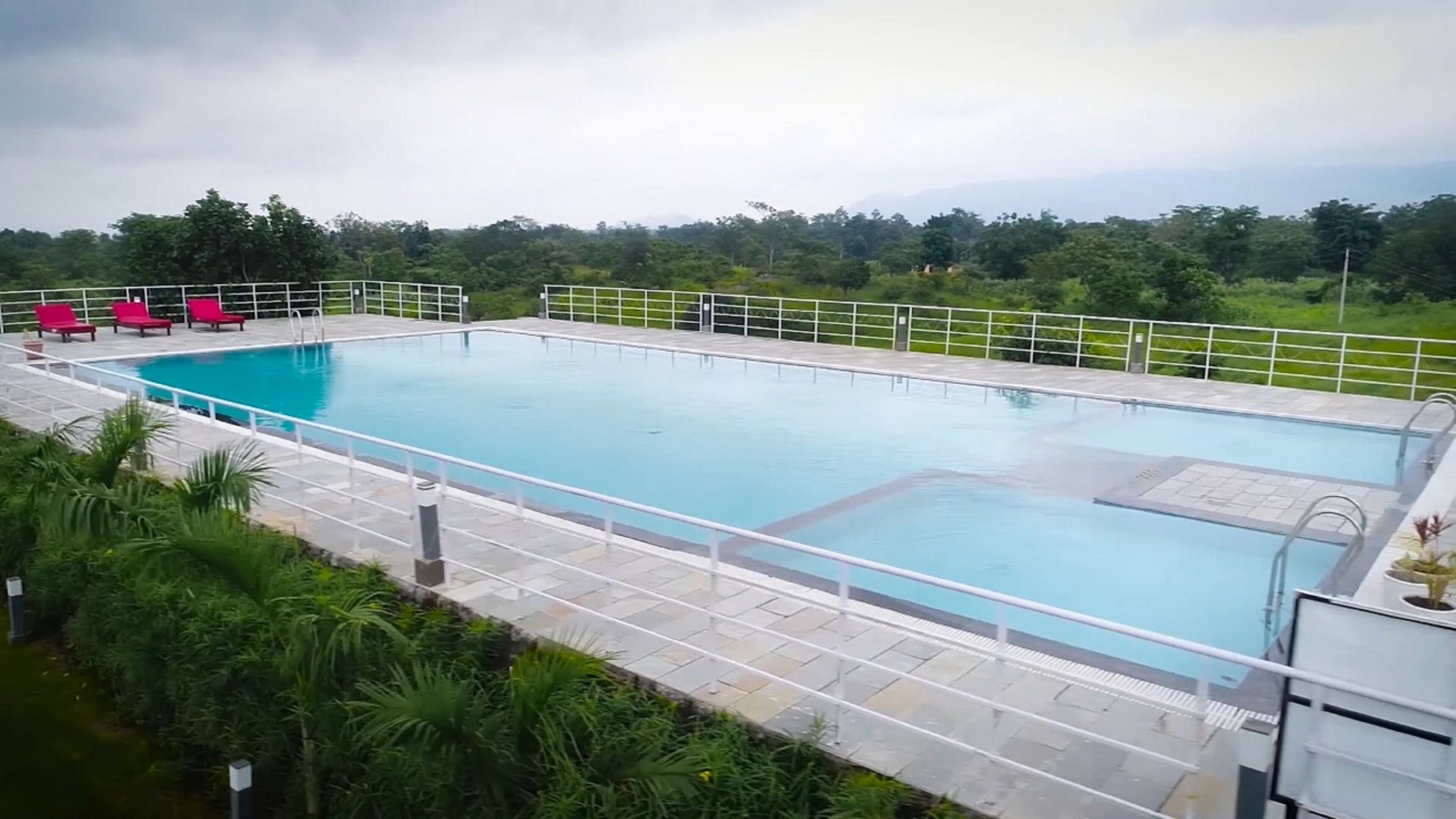 A rectangular swimming pool with a white deck and metal railings, surrounded by lush greenery and trees.