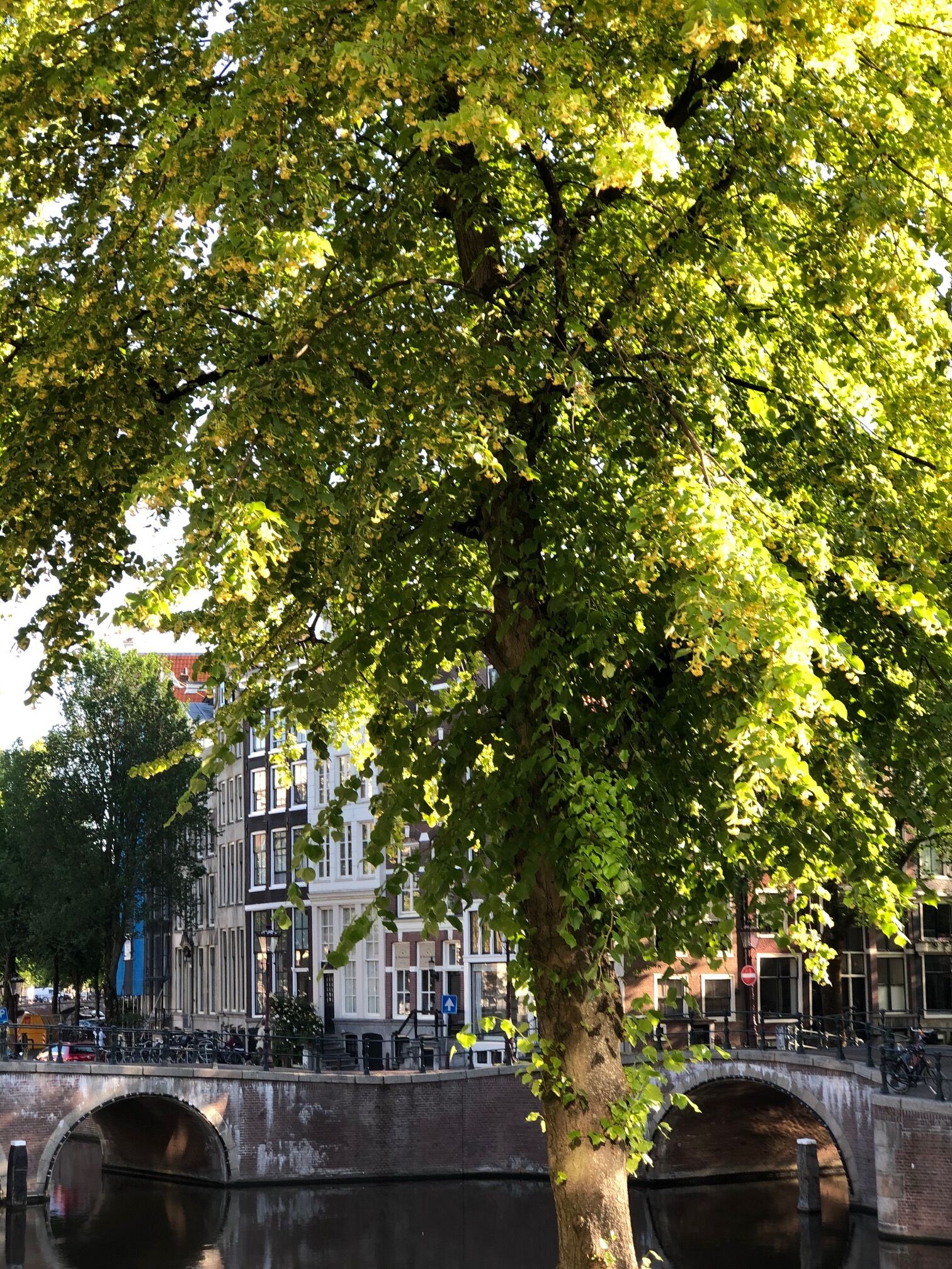 Foto - Milkhouse Luxury Stay Amsterdam