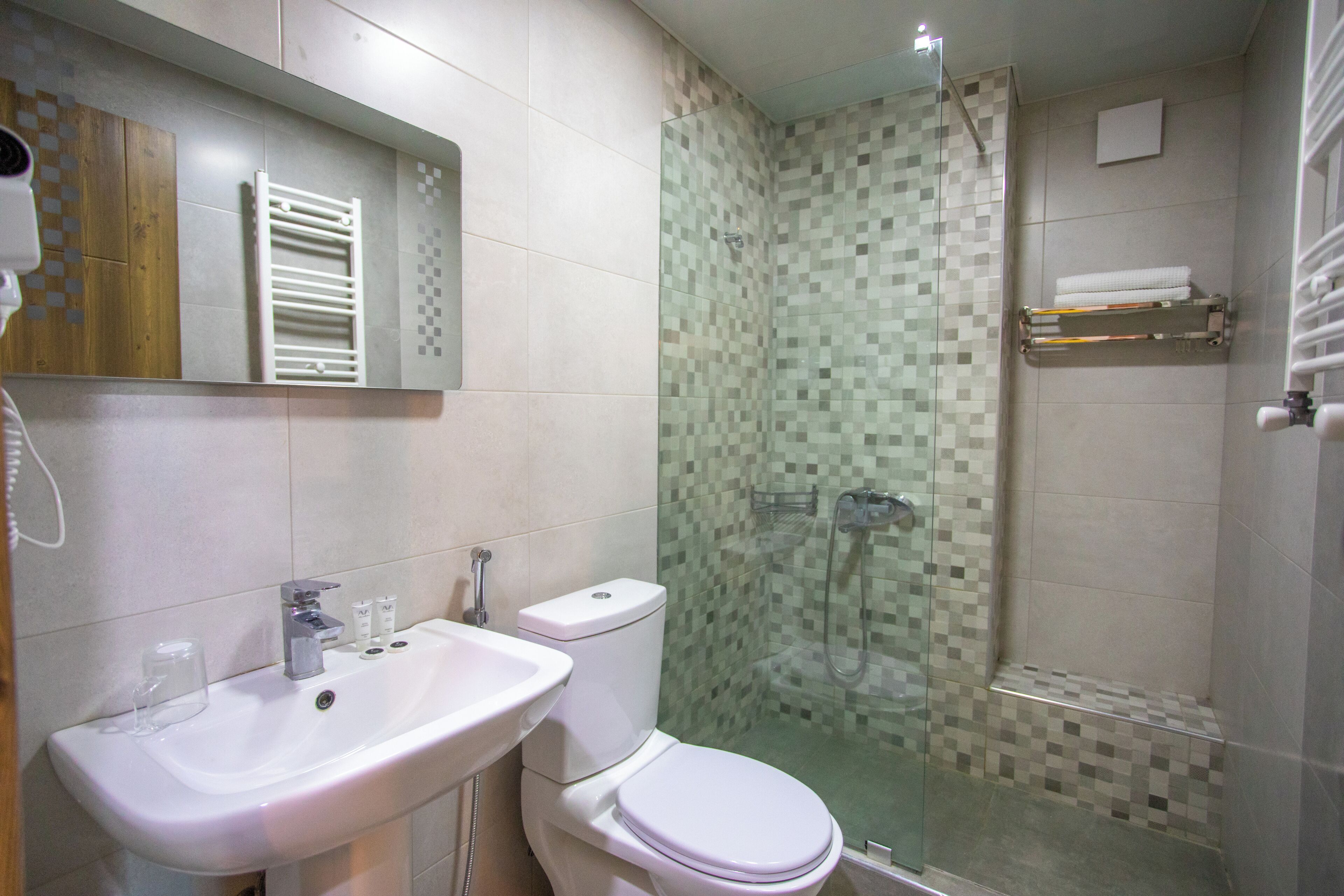 A bathroom with a sink, toilet, and glass-enclosed shower.
