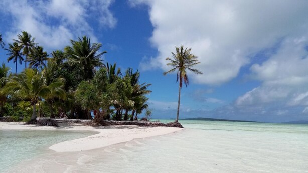 A beach with white sand and clear turquoise water, surrounded by palm trees. - Sinar Harapan (Tomia Island)