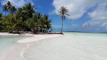 Beach nearby, scuba diving