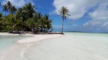 Pantai di sekitar dan scuba diving