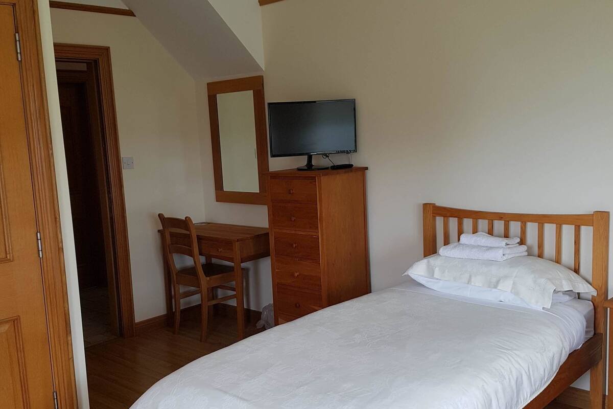 A bedroom with a wooden bed, a desk with a chair, a television on a wooden cabinet, and a mirror on the wall.