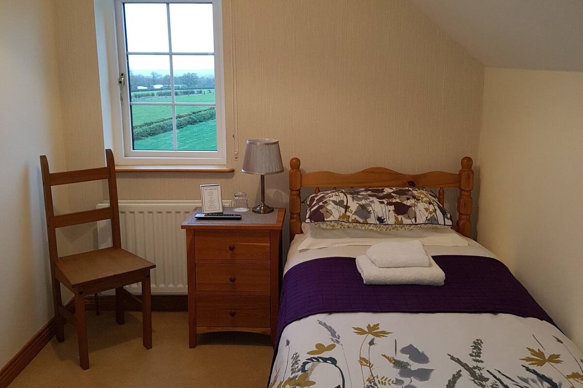 A bedroom with a bed, a chair, a nightstand, a lamp, a window with a view of the countryside, and a radiator.