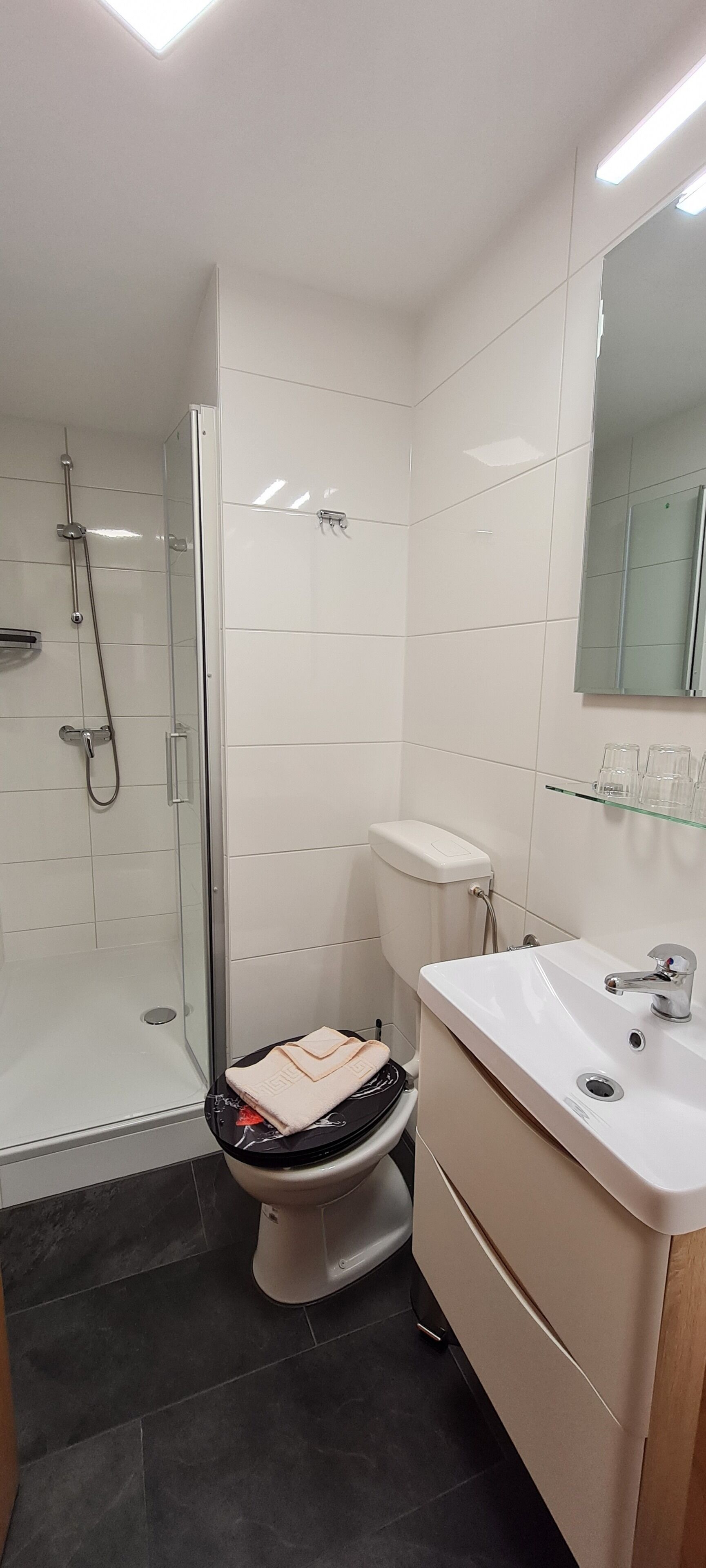 A modern bathroom with a glass shower enclosure, a toilet, and a sink with a mirror above.