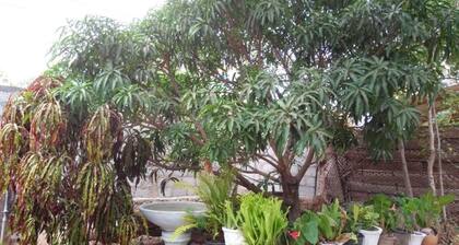 Pawansa Homestay