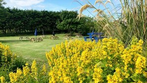 A grassy area with picnic tables and benches, surrounded by yellow flowers and tall grasses. - Cullen Bay Hotel (Buckie)