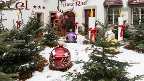 A hotel with a Christmas display featuring a reindeer, Christmas trees, and ornaments. - Hôtel du Port (Estavayer-le-Lac)