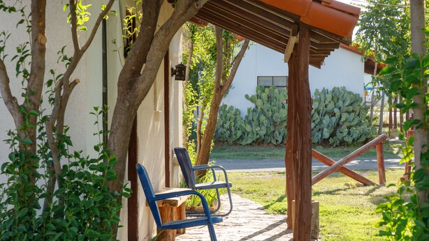 Un patio con dos sillas azules, un banco de madera y una planta de cactus.