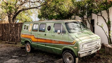 A green van parked in a driveway with trees and a wooden fence in the background.