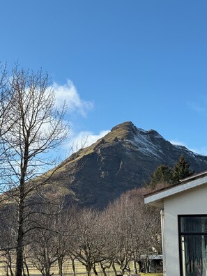A mountain with a clear sky, a building with a window, and leafless trees.