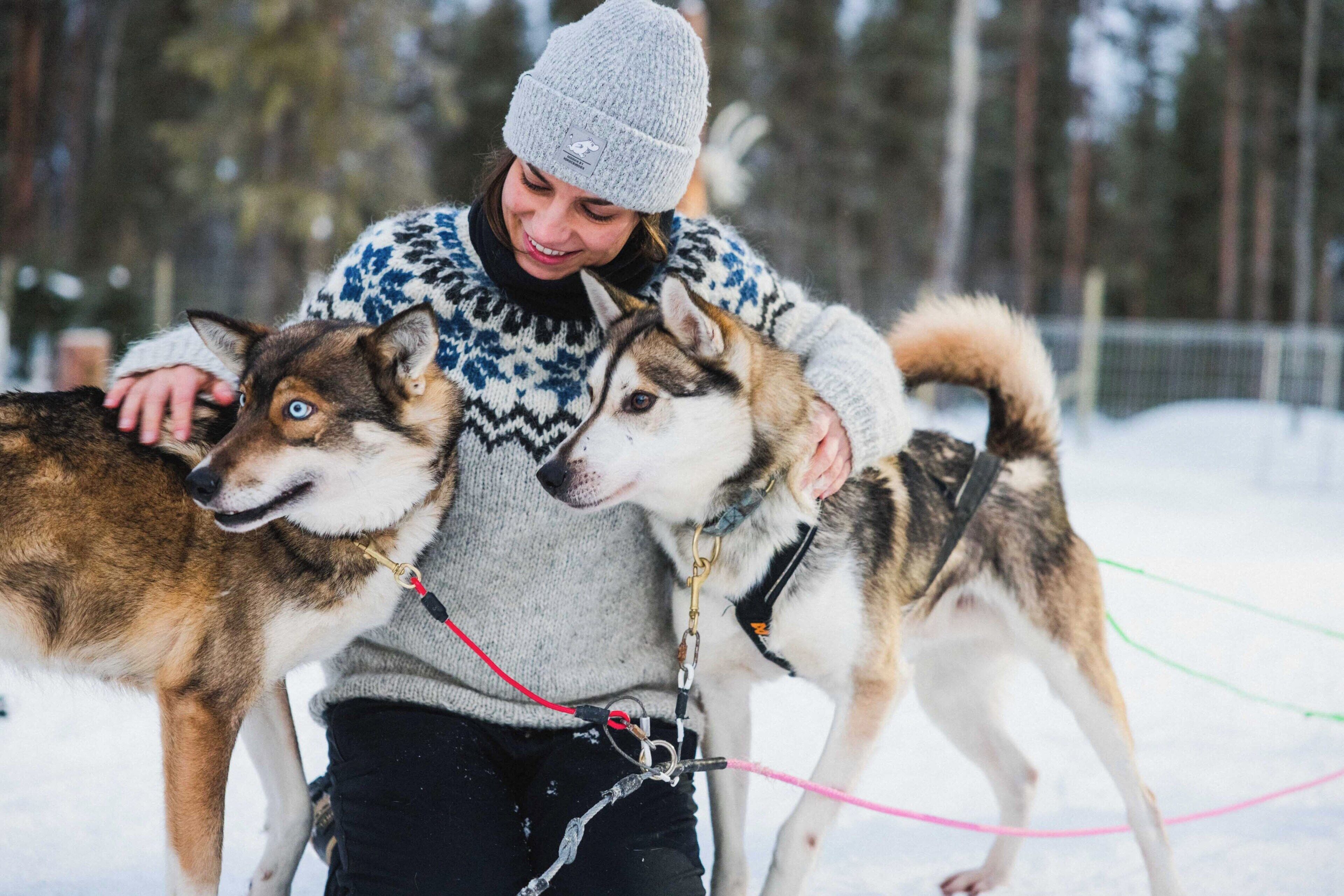 A person with two dogs on leashes in a snowy outdoor setting.