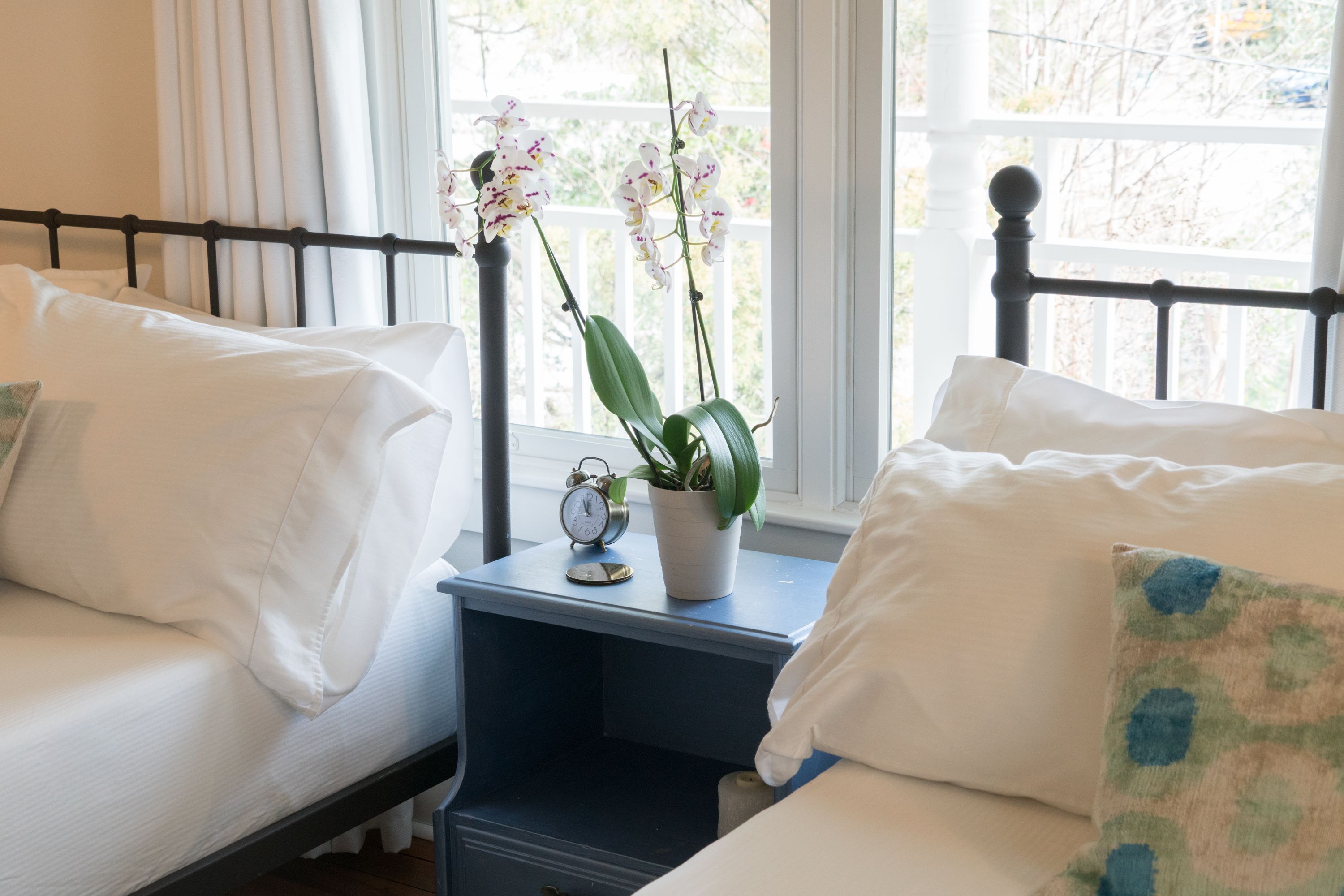 A bedroom with two beds, a nightstand with a clock and a potted plant, and a window with a view of trees.