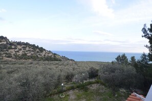 Vue sur la plage/l’océan