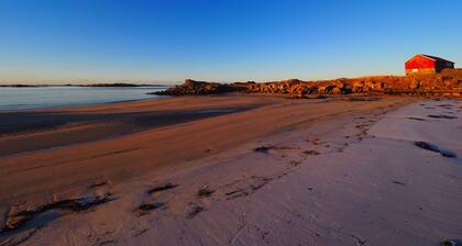 Steinbakk - Vestresand Lofoten