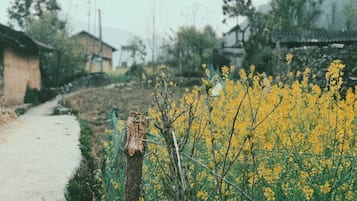 บริเวณที่พัก