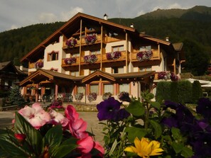 View from property - Gran Zebru (Pejo)