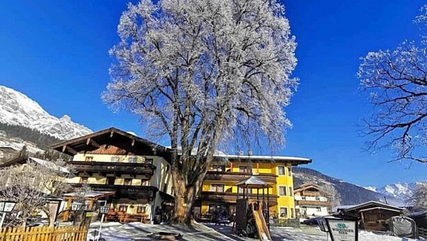 Ein Gebäude mit mehreren Balkonen und einem großen Baum davor.