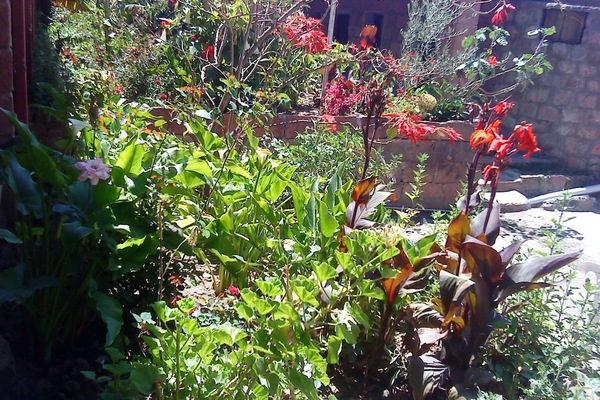 Jardín