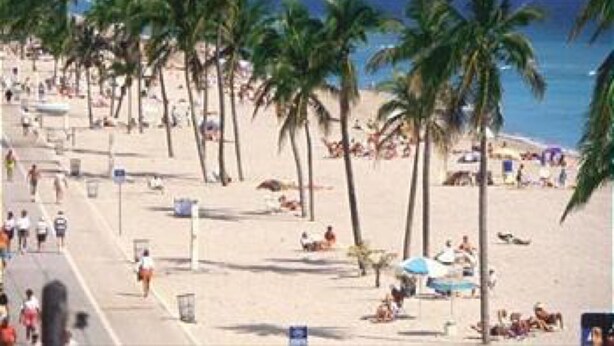 A beach with palm trees and people sunbathing. - Seabreeze Beachside Studios by ValGal (Hollywood)