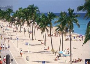 A beach with palm trees and people sunbathing. - Seabreeze Beachside Studios by ValGal (Hollywood)
