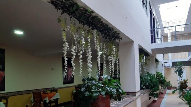 A restaurant with hanging white flowers, potted plants, and a tiled floor. - Hotel El Andino (San José de Cúcuta)