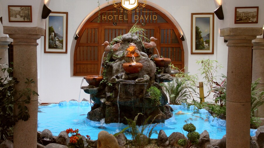 Hotel David