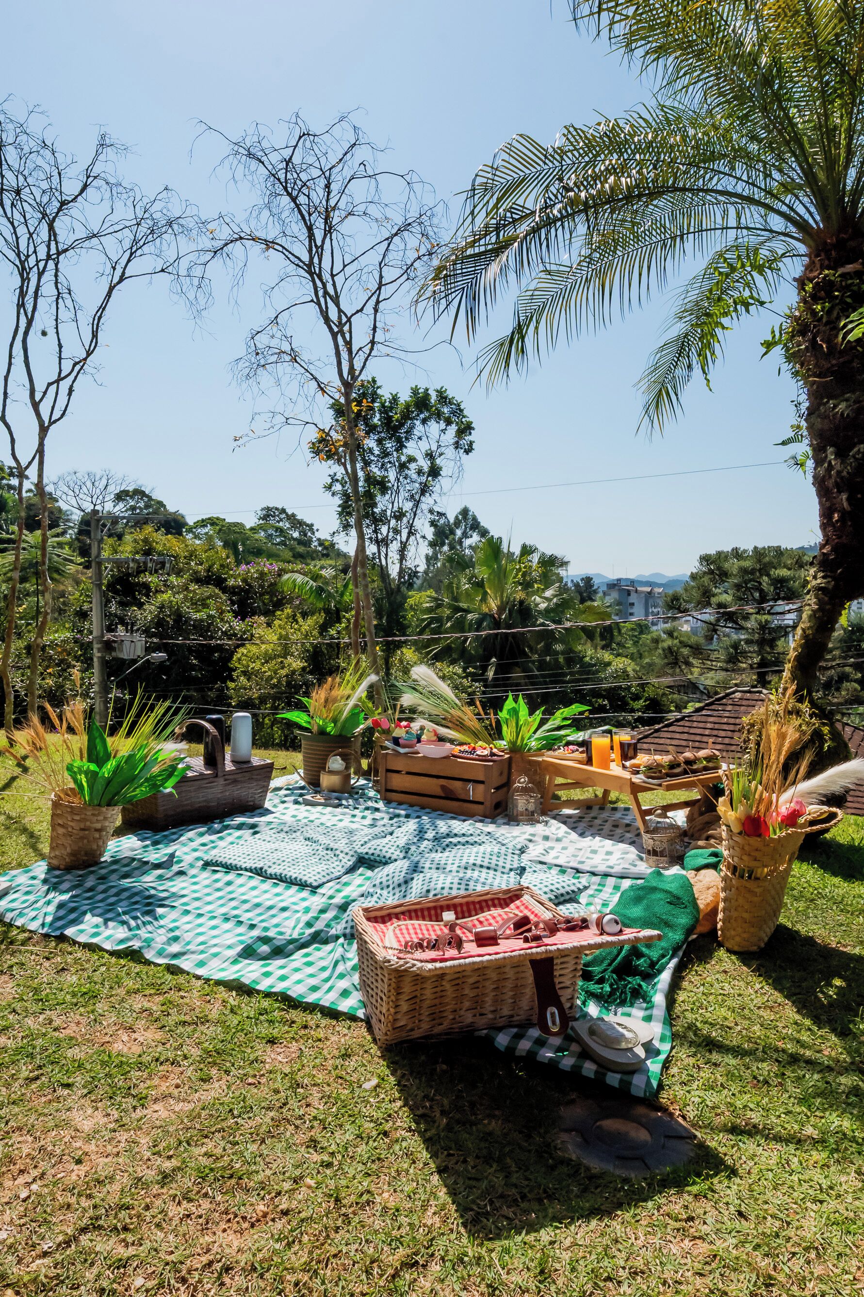 An outdoor dining area with a checkered tablecloth, wooden furniture, and potted plants.