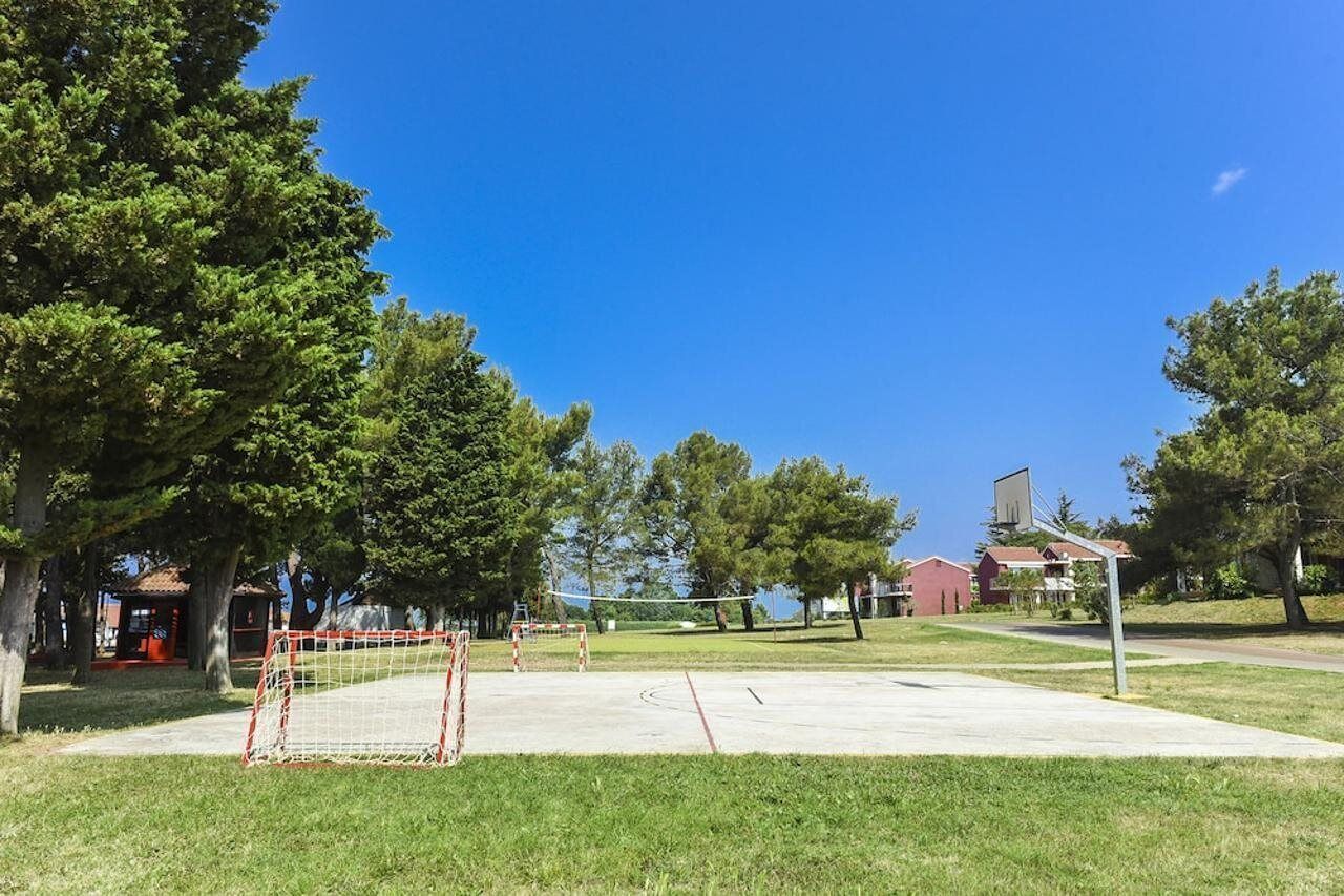An outdoor sports court with a basketball hoop, surrounded by trees and buildings in the background.