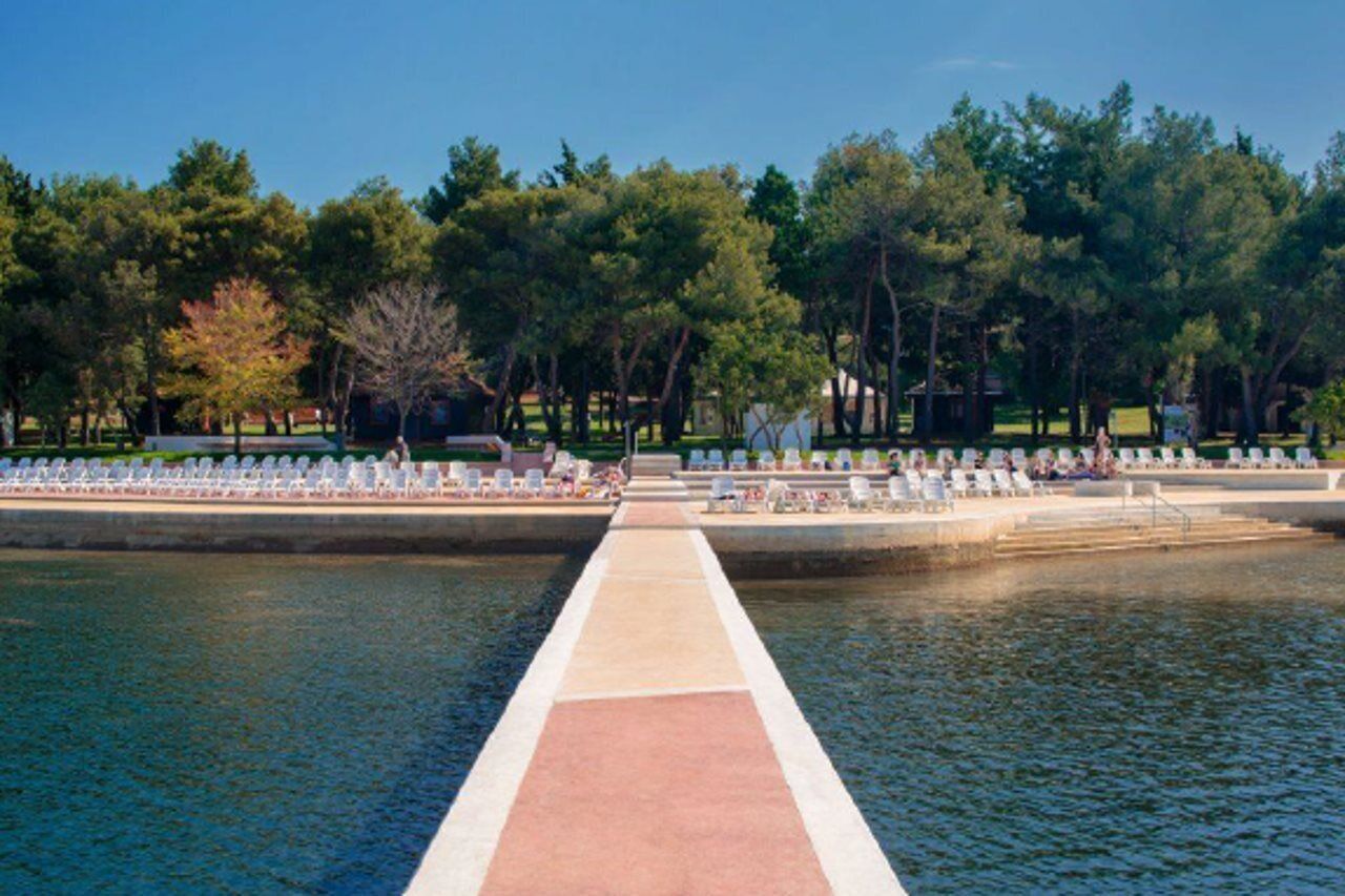 Un long chemin rectiligne qui mène à un espace piscine entouré d’arbres.