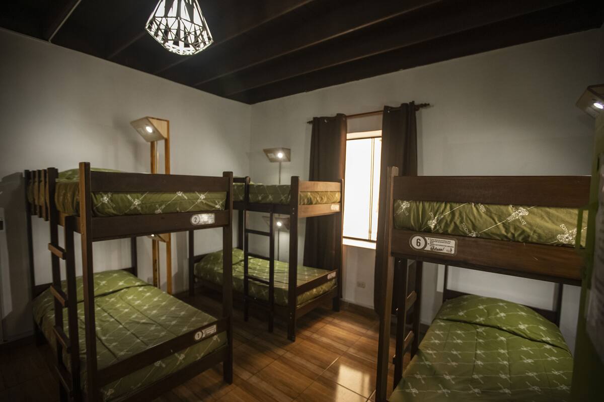 Gemeinsamer Schlafsaal, Nur Frauen, Gemeinschaftsbad (6 beds) | Kostenloses WLAN, Bettwäsche