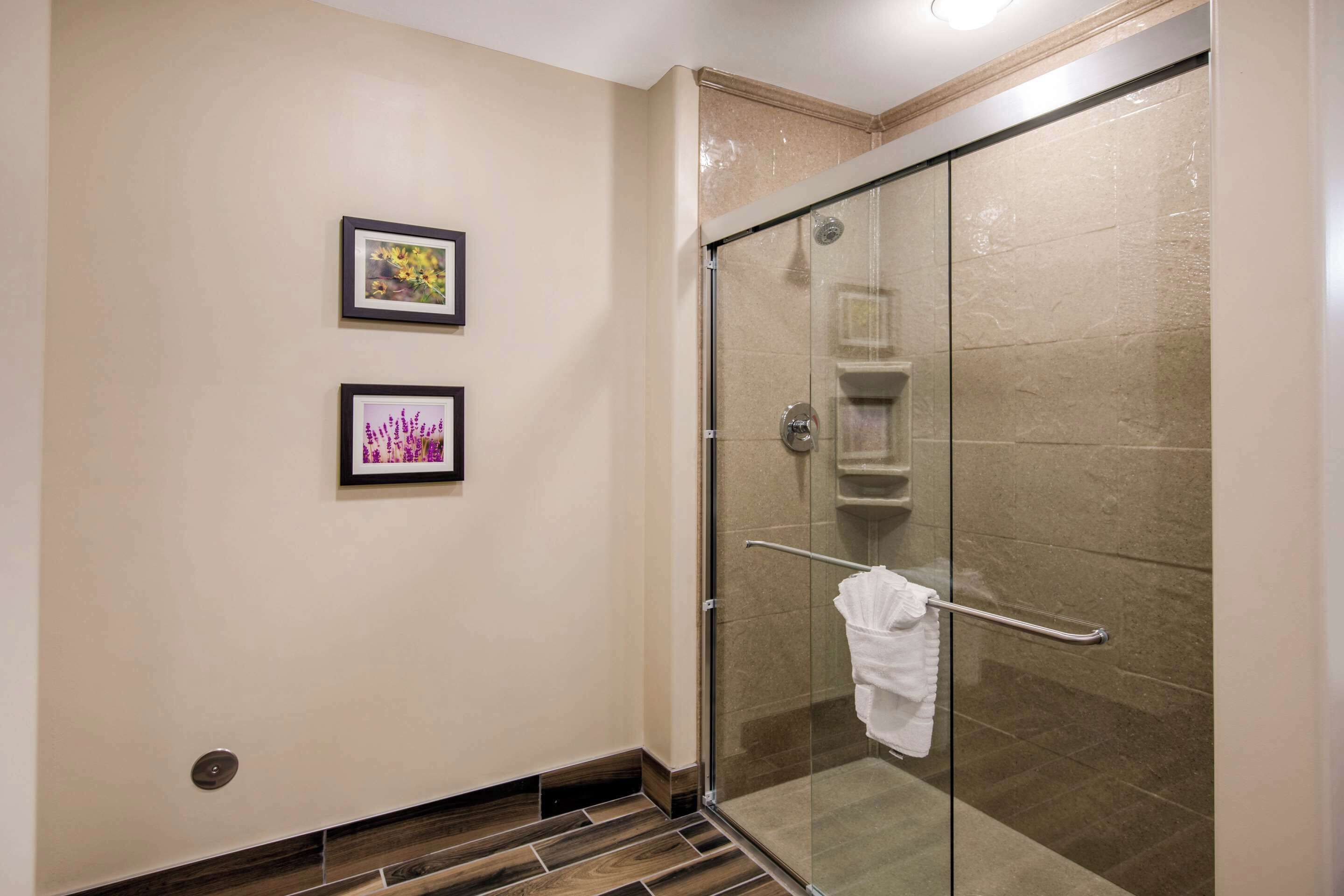 A glass-enclosed shower with a towel rack, beige walls, and two framed pictures.